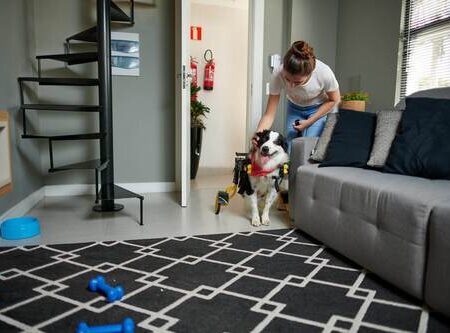 PET-CLEANER-MOB-16-scaled
